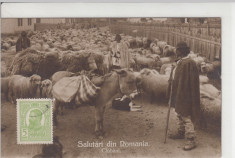 ROMANIA - SALUTARI DIN ROMANIA, CIOBANI - LOT 2 CP foto