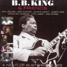 B.B. KING A Night Of Blistering Blues (dvd+cd) foto