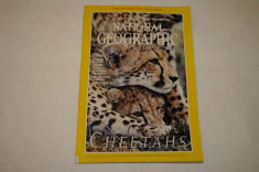 National Geographic - december 1999 - Cheetahs foto