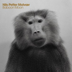 NILS PETTER MOLVAER Baboon Moon (cd) foto