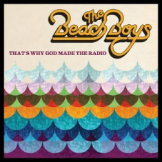 Beach Boys The Thats Why God LP (vinyl) foto