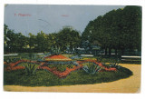 1509 - TURNU-MAGURELE, Teleorman, Park - old postcard - used, Circulata, Printata