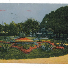 1509 - TURNU-MAGURELE, Teleorman, Park - old postcard - used