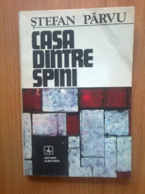 n6 Casa dintre spini - Stefan Parvu foto