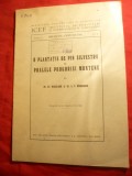 Dr.At.Haralamb si A.Radulescu -O Plantatie de Pin Silvestru -Fundeni-Buzau 1936