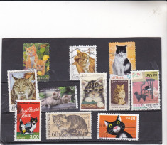 timbre st difeite pisici din diferite tari foto