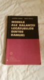 Modele ale balantei legaturilor dintre ramuri - Aurora Baciu