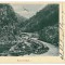 3287 - SURDUC PASS, Gorj - old postcard - used - 1905