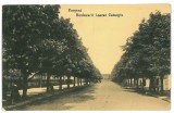 3243 - FOCSANI, Vrancea, Ave. Lascar Catargiu - old postcard - unused