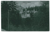 3271 - SINAIA, Prahova, Peles Castle - old postcard - unused, Necirculata, Printata