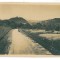 3313 - CISNADIOARA, Sibiu - old postcard, real PHOTO - used - 1925