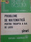 Cumpara ieftin PROBLEME DE MATEMATICA PENTU TREAPTA II DE LICEU DE D.M.BATINETU,533 PAG.1979