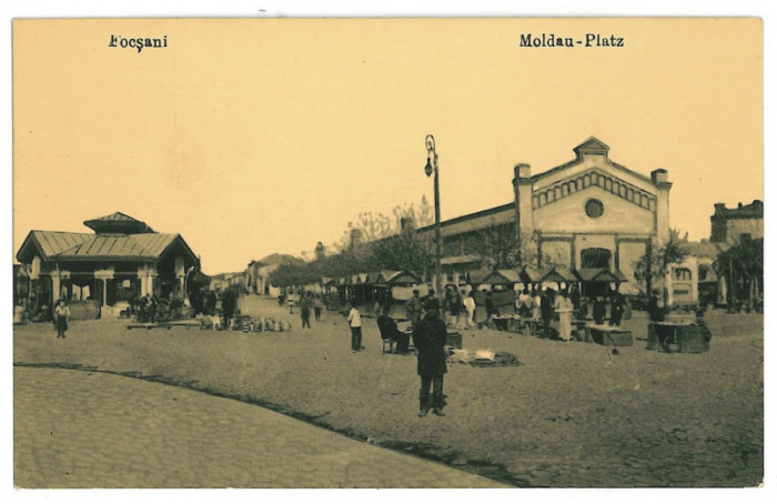 3241 - FOCSANI, Vrancea, Market - old postcard - unused