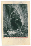 3276 - STANA de VALE, Bihor, Cave - old postcard - unused, Necirculata, Printata