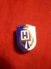 Insigna veche Romaneasca (Arad)- H , coroana si Flacara -metal si email,h=3cm
