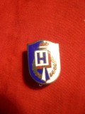 Insigna veche Romaneasca (Arad)- H , coroana si Flacara -metal si email,h=3cm