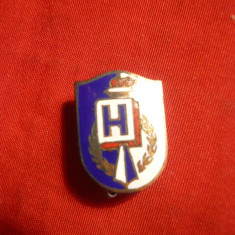 Insigna veche Romaneasca (Arad)- H , coroana si Flacara -metal si email,h=3cm