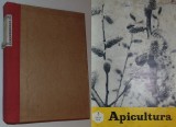 Colectie revista APICULTURA, 11 numere,1972 (lipseste nr.1), Alta editura