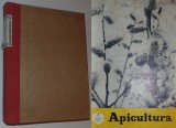 Colectie revista APICULTURA, 11 numere,1972 (lipseste nr.1), Alta editura