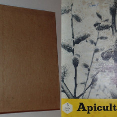 colectie revista APICULTURA, 11 numere,1972 (lipseste nr.1)