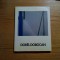 DOREL DOBOCAN - Sander Gallery, New York, Album, 1985, 129 p.