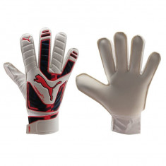 LICHIDARE DE STOC! Manusi Portar Puma evoPower Grip 4 originale - marimea 9 foto