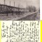Orsova - Hotel Hille bombardat - WWI, tema militara,razboi, rara