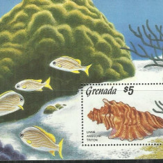 F 28 - PESTI - GRENADA - COLITA NESTAMPILATA, MNH