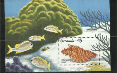 F 28 - PESTI - GRENADA - COLITA NESTAMPILATA, MNH foto