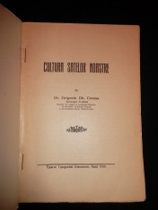 Cultura satelor noastre, Grigorie Comsa, 1925 foto