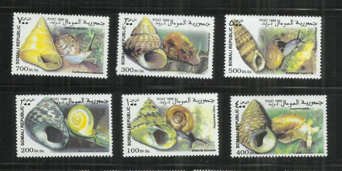 F 191 - SCOICI - SOMALIA - SERIE NESTAMPILATA