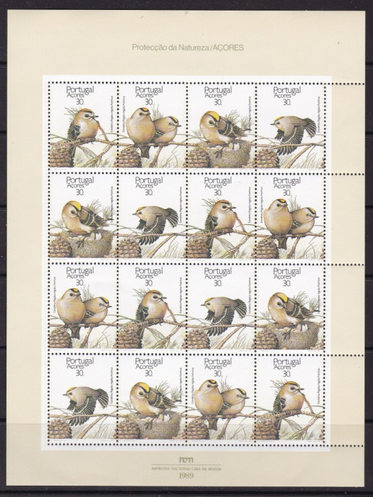 Portugalia Azore 1989 fauna pasari MI 397-400 kleib. MNH w17