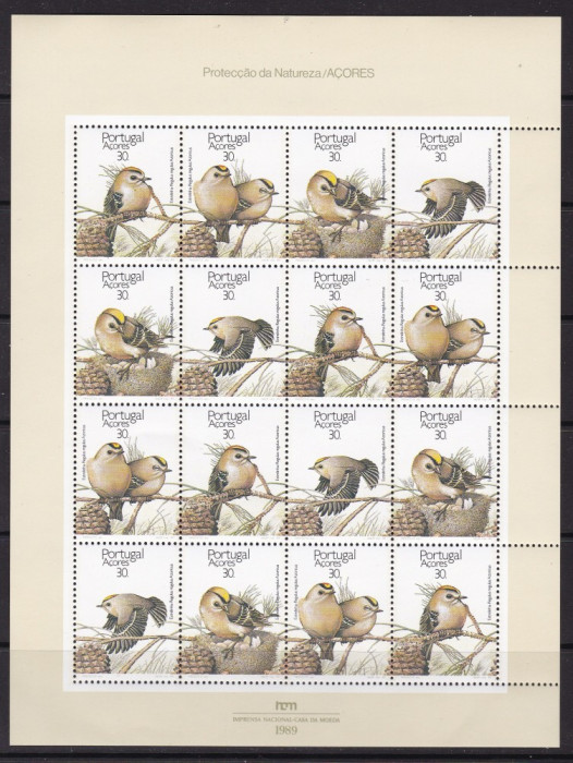 Portugalia Azore 1989 fauna pasari MI 397-400 kleib. MNH w17