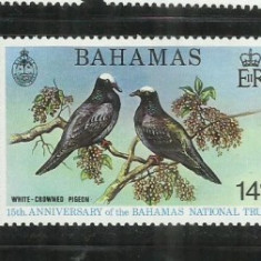 F 180 - PASARI - BAHAMAS - SERIE NESTAMPILATA