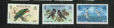 F 180 - PASARI - BAHAMAS - SERIE NESTAMPILATA foto