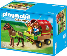 Playmobil 5228 - Ponei cu trasura foto