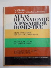 ATLAS DE ANATOMIE A PASARILOR DOMESTICE de V. GHETE , ST. CHITESCU , V. COTOFAN , A. HILLEBRAND , 1976 foto