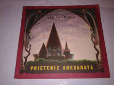 Ana Pop Dinca - Prietenie adevarata foto