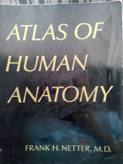 Atlas de anatomie Frank H. Netter MD foto