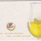 Suport de pahar / Biscuite DUVEL