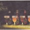 Suport de pahar / Biscuite CAROLUS