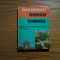 GHID DE CONVERSATIE ROMAN - SPANIOL - Dan Munteanu - 1985, 241 p.
