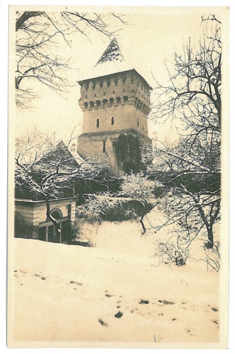 2100 - SIBIU - old postcard, real PHOTO - unused