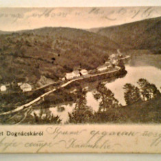 CP DOGNECEA DOGNACSKAROL CIRCULATA CU TIMBRU 1904-1905 DEOSEBITA