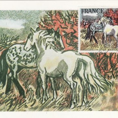 3406 - Franta 1979 - carte maxima