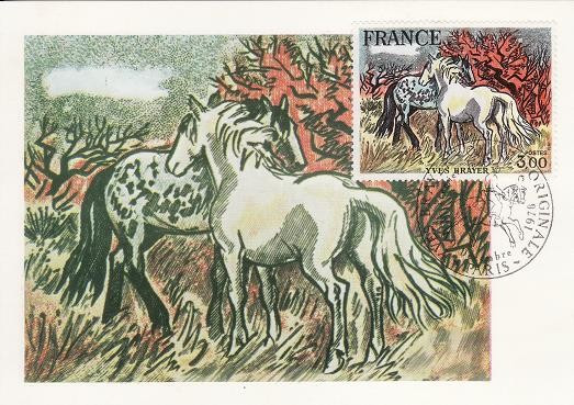 3406 - Franta 1979 - carte maxima