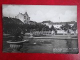 Vedere - Carte postala - Satu - Mare - Piata Reg. Carol, Necirculata, Fotografie