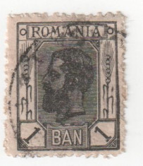Spic de grau, 1 ban negru inchis, 1908 obliterat (8) foto