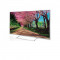 Televizor LED LCD 3D Full HD 140 cm Panasonic - TX-55AS650E