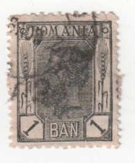 Spic de grau, 1 ban negru inchis, 1908 obliterat (12) foto
